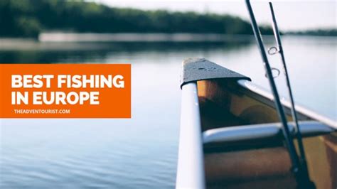 Top 5 Most Popular Fish in Europe: Must.